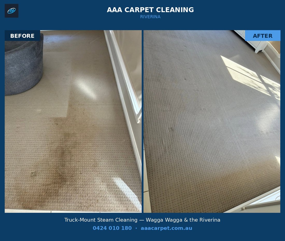 AAA Carpet Cleaning before and after — living room carpet